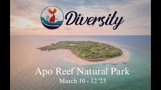 DIVERSity goes to Apo Reef Natural Park  #mermaid #freedive