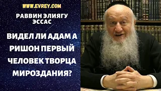 ВИДЕЛ ЛИ АДАМ А РИШОН ПЕРВЫЙ ЧЕЛОВЕК ТВОРЦА МИРОЗДАНИЯ