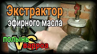 Писец клещу! Экстратор эфирного масла своими руками. Масло полыни для обработки пчел от клеща Варроа