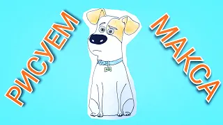 Как Нарисовать Собаку Макса ( Тайная жизнь домашних животных) / поэтапно