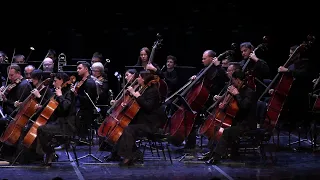 J. Bizet. Gypsy dance from the opera "Carmen"/ Ж. Бизе. Цыганский танец из оперы "Кармен"