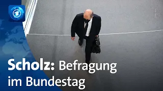 Abgeordnete befragen Bundeskanzler Scholz