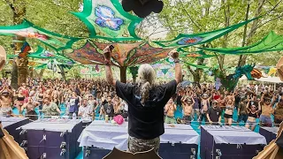 1200 MICROGRAMS LIVE SET AT FREEDOM FESTIVAL 2019