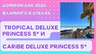 Tropical deluxe princess 5/ caribe deluxe princess 5/ Фламинго / доминикана 2022