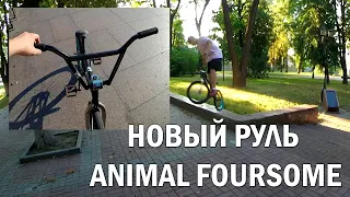 КАТАЄМСЯ В +40 | НОВИЙ РУЛЬ ANIMAL FOURSOME