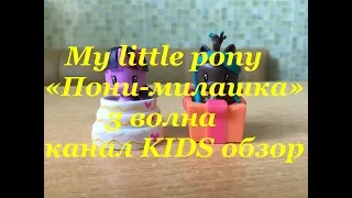 Пони-милашка 3 волна My little pony cutie mark rew E5966