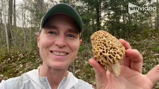 Finding my first morel mushrooms!!!