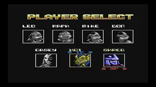 Tmnt 4 Tournament Fighters 2 players