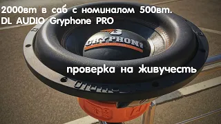 DL AUDIO Gryphon PRO 12. Зальем побольше мощности для проверки.