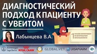 План диагностики пациента с увеитом