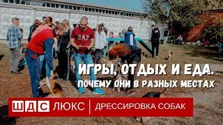 З ГЛАВНЫХ ЛОКАЦИИ В ЖИЗНИ СОБАКИ #дрессировкасобаки  #дрессировкащенка