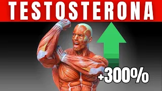 Como SUBIR la TESTOSTERONA en Hombres (Naturalmente)