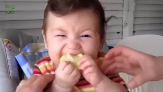 Babies Eating Lemons for the First Time Compilation 2014 NEW HD    NEW 2015