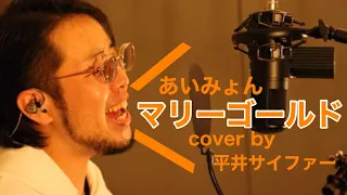 マリーゴールド /あいみょん (cover by 平井サイファー)