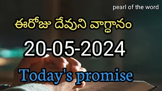 Today's promise | Eroju devuni vaagdaanam | Word of god | 20-05-2024