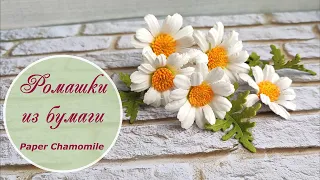 Ромашки из бумаги / Paper chamomile tutorial