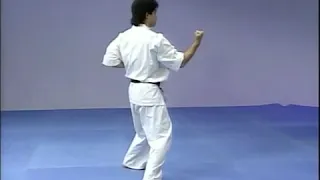 Kyokushin 101: Tsuki no Kata