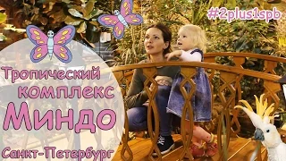 МИНДО. Музей Бабочек в СПб. Куда пойти с ребенком в Петербурге #5