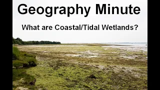 What are Coastal/Tidal Wetlands?