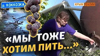 Жители Бельбекской долины не дадут перекрыть речку Коккозку? | Крым.Реалии ТВ