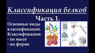 Биохимия. Классификация белков. Ч.1. Система классификации.