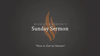 How to Get to Heaven — Bishop Barron’s Sunday Sermon