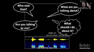 From Chaos to Information - Communication in a Crowd of Bats