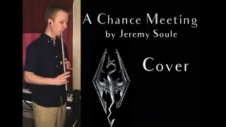 Skyrim - A Chance Meeting - Tin Whistle Cover