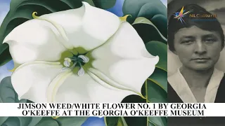 Jimson Weed/White Flower No  1 by Georgia O'Keeffe at The Georgia O'Keeffe Museum