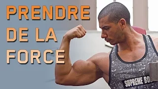 Programme FORCE || MUSCULATION