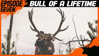 BULL OF A LIFETIME - RIFLE ELK HUNTING - ICON TOUR "OPEN SEASON" - EP. 7