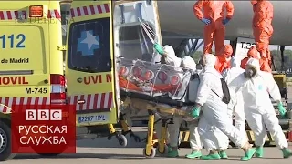Эболу будут лечить непроверенными лекарствами - BBC Russian