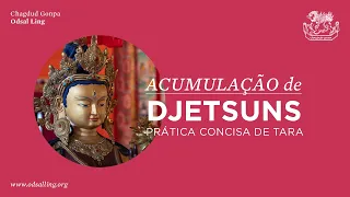 Prática Concisa de Tara Vermelha – Acumulação de Djetsuns