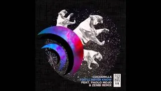 Cocodrills - You'll Never Know (Original Mix)