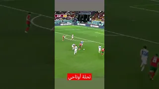 مهارة النحلة عزالدين أوناحي