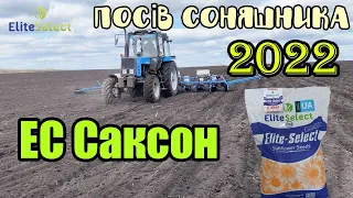 Розпочали посів Соняшнику в 2022 році ЕС Саксон. Поле під номером 12