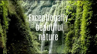 Exceptionally beautiful nature