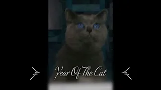 Al Stewart  - Year Of The Cat (neoCRYPT Remix)