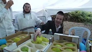 Sukkot Vibes in Mea She'arim, Jerusalem אווירת ערב סוכות בירושלים | 2023