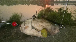 снасть на  время запрета на карася и карпа / рыбалка -- это жизнь