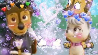 гонщик и свити заказ для [ Dasha paw patrol]