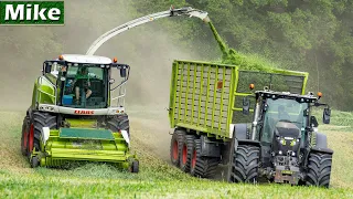 2020 | Spring Rye Silage with Black Claas Axion | Pleizier & Timmer | Claas Jaguar 965.