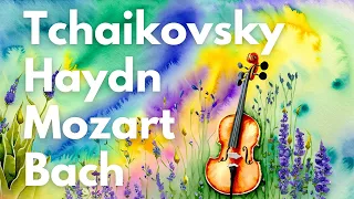Classical Music Playlist 9: Mozart, Bach, Haydn, Tchaikovsky | #classicalmusic #mozart #haydn