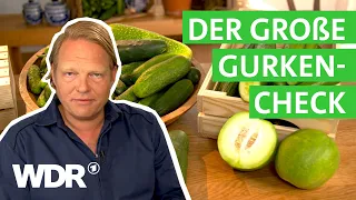 Von wegen lahme Gurke! Knackig, grün und kerngesund  | Der Vorkoster | WDR