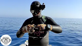 Spearfishing Last days of April | Spearfishing the Aegean 🇬🇷 ✔