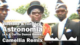 Coffin Dance (Camellia Remix)