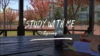 1-HOUR STUDY WITH ME  | Spring 🌺 | Relaxing Lofi | Pomodoro(30/5) |Timer  And Alarm