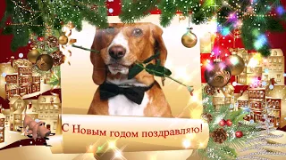 #С новым #старым #2018. #Видео #поздравление 2018 год. Поздравление на новый старый #год #собаки