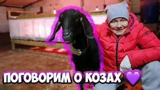 Уход за козами🐐