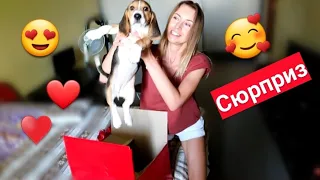 СЮРПРИЗ В КОРОБКЕ😍🎁ПОДАРИЛА МАМЕ ЩЕНКА🐶